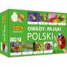 Owady i pająki Polski adamigo memory - Gryplanszowe24.pl - sklep