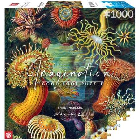 Good Loot Puzzle: Ernst Haeckel - Sea Anemones