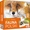 Fauna Polski adamigo memory - Gryplanszowe24.pl - sklep
