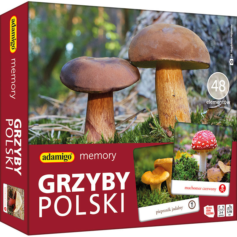 Grzyby polski - adamigo memory - Gryplanszowe24.pl - sklep