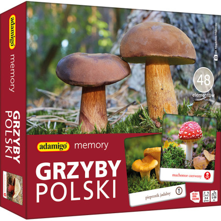 Grzyby polski - adamigo memory - Gryplanszowe24.pl - sklep
