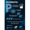 Po prostu P