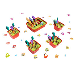 Pergola (edycja polska)