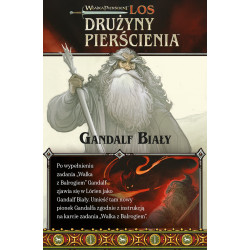 Władca Pierścieni: Los Drużyny Pierścienia