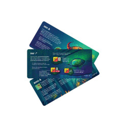 Kelp: Szczęki kontra macki - Niezwykłe zachowania