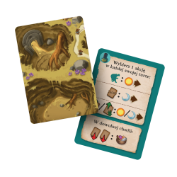 Everdell Duo (edycja polska)