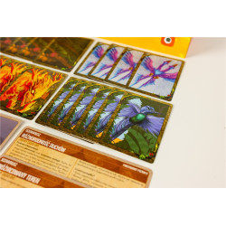 Spirit Island: Pióra i płomienie