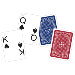 Karty z dużymi indeksami i znakami Braille`a