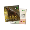 Zona: Scavenger's Wish (wersja EN)