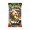 Pokemon TCG: Perfect Order - Booster