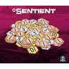 Sentient - Gryplanszowe24.pl - sklep